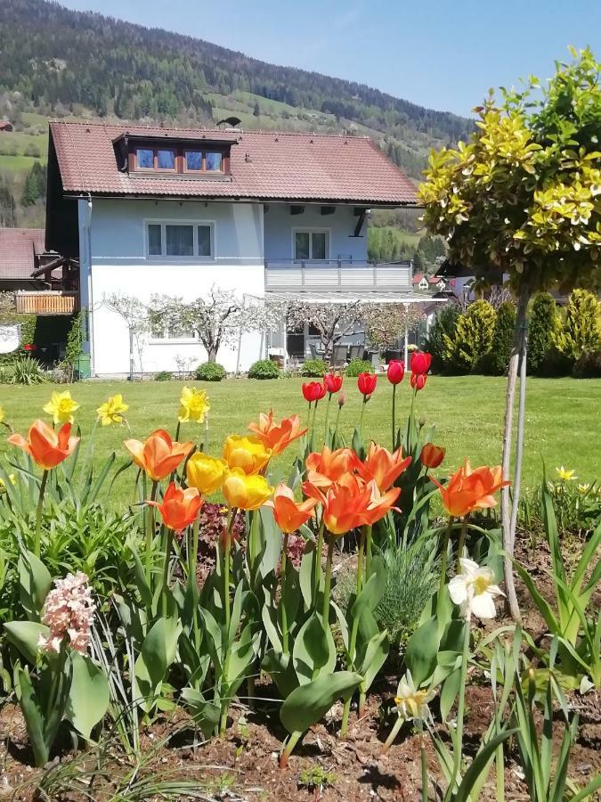 Pension Strauss Санкт-Лоренцен-об-Мурау Экстерьер фото